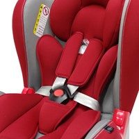 כיסא בטיחות סייפ גארד - ™SafeGuard