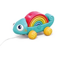 קשת זיקית – Rainbow Chameleon