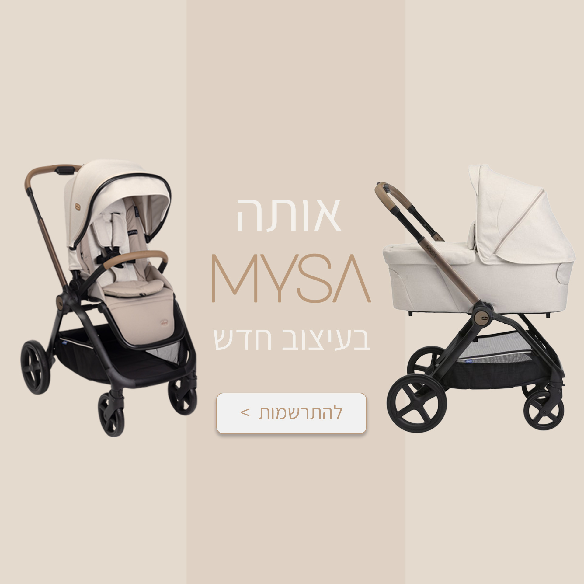 ראשי