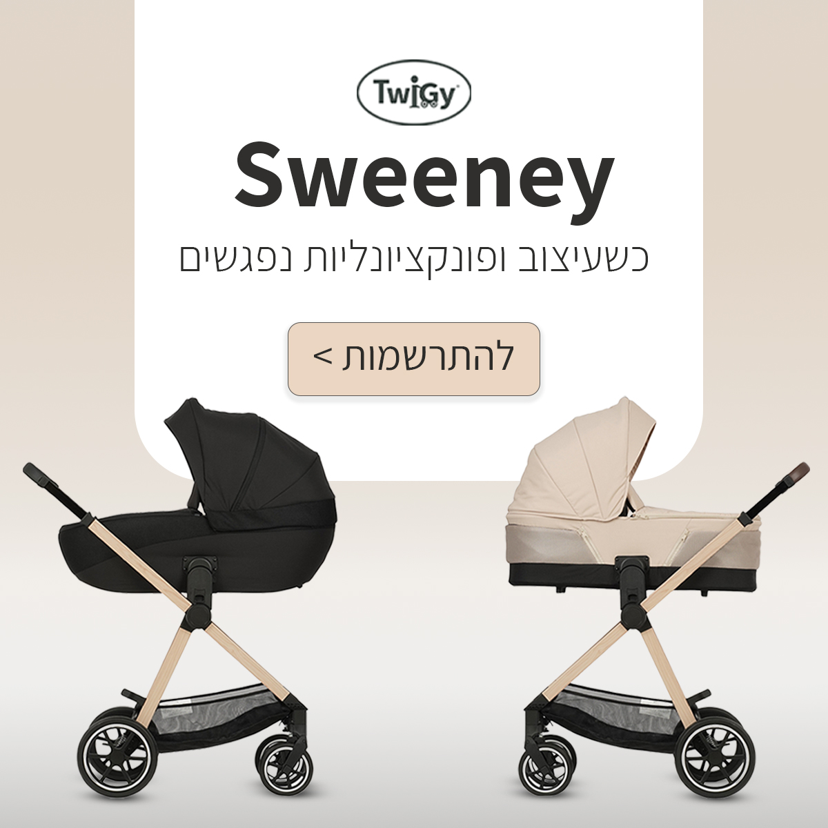 ראשי